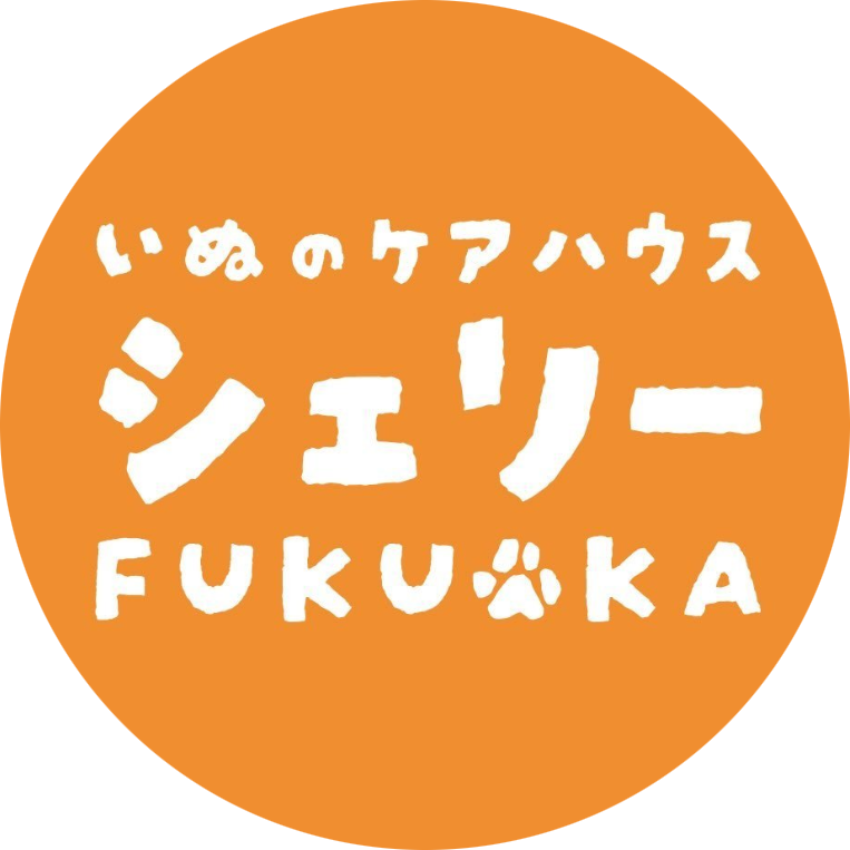 shelly_fukuoka2